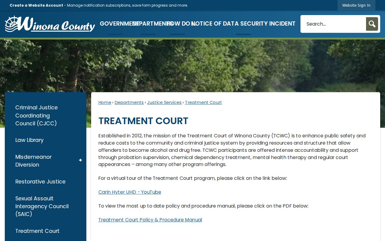 Winona County criminal docket Treatment Court program information